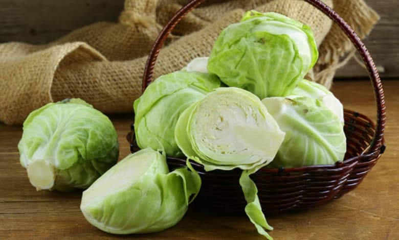 خرید کلم پیچ سبز + قیمت فروش استثنایی